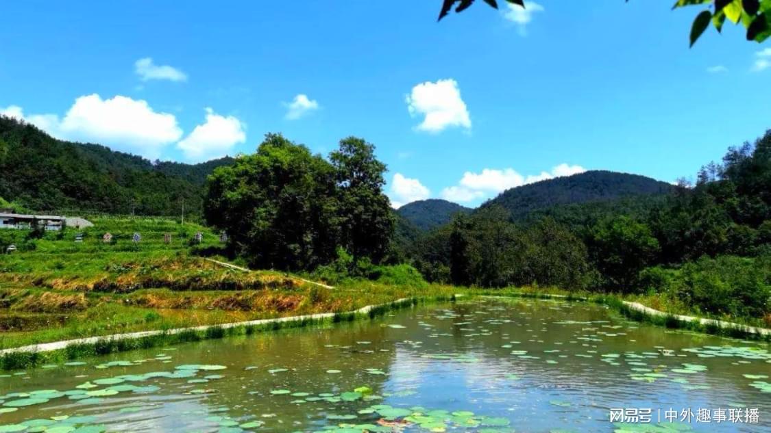 昨日付费推广精准化定制您的投放策略,推广效率之选,抖音涨关注平台：自媒体内容创作秘籍与流量提升策略
