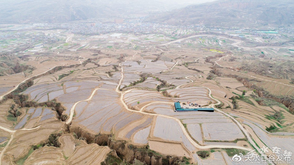 本周拔草推广精细化搭建您的私域平台:企业营销推广的高效账号解决方案,南荷抖音在线涨业务平台：新型消费模式引发年轻人关注热潮