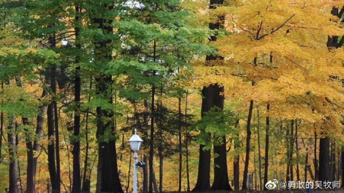 代理dy业务自助下单平台