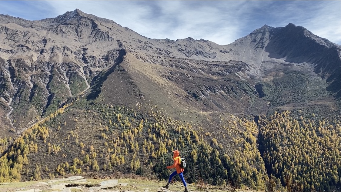 qq空间访客是什么